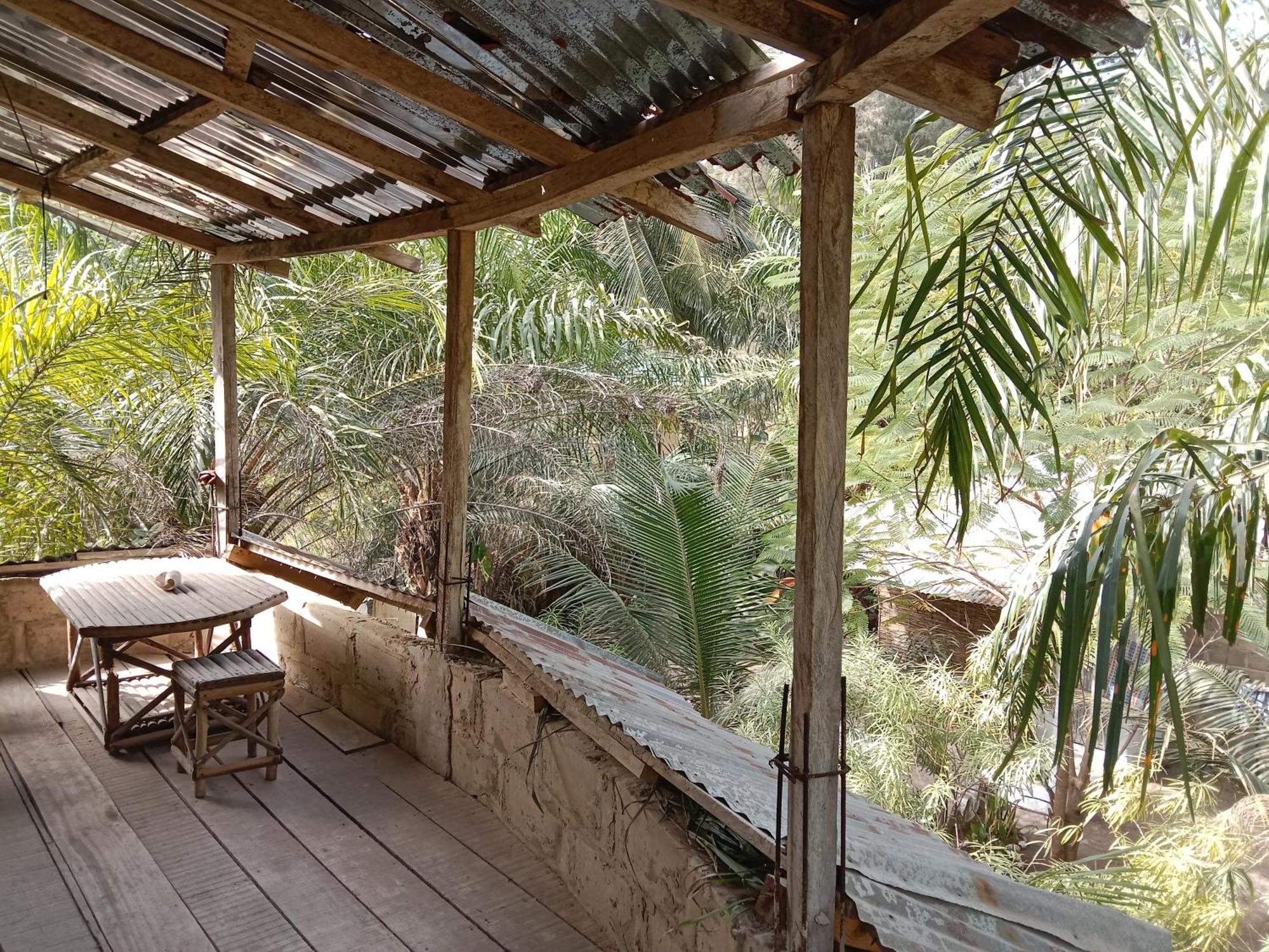 Вілла Chez Bethy & Baboulaye Jungle Et Ocean Abeme Екстер'єр фото