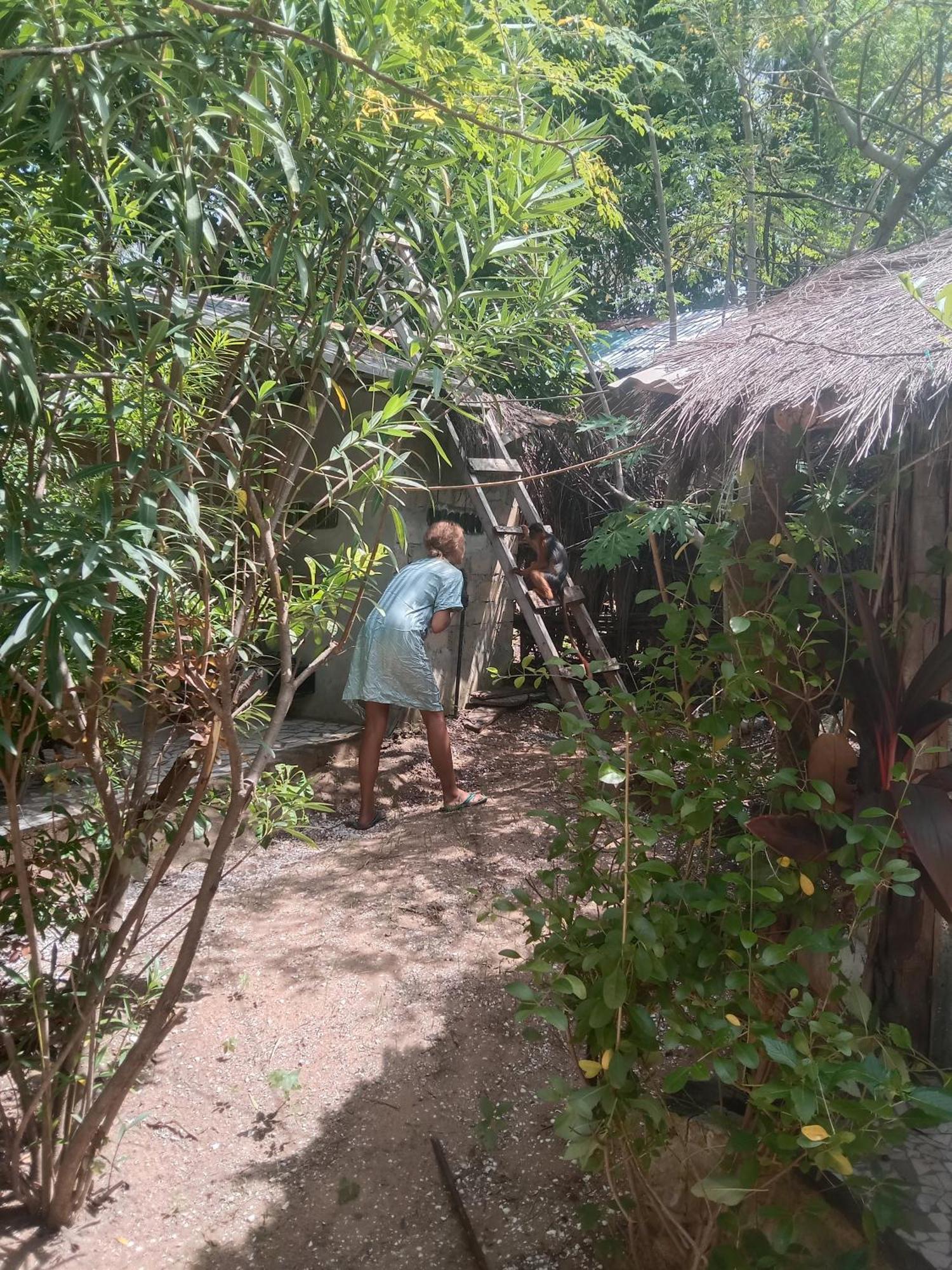 Вілла Chez Bethy & Baboulaye Jungle Et Ocean Abeme Екстер'єр фото